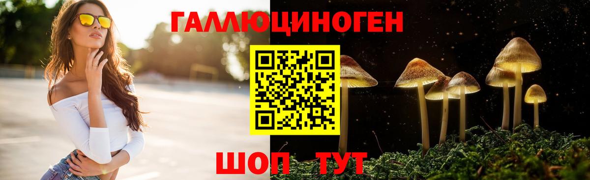 Псилоцибиновые грибы GOLDEN TEACHER  Вход с VPN  Галлюциногенные грибы MAGIC MUSHROOMS  Куйбышев 