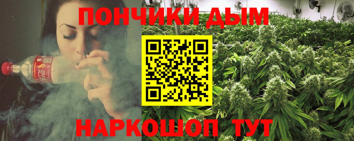 Шишки марихуана SATIVA & INDICA  Вход с VPN  Бошки марихуана SATIVA & INDICA  МАРИХУАНА VHQ  Марихуана гибрид  Куйбышев 